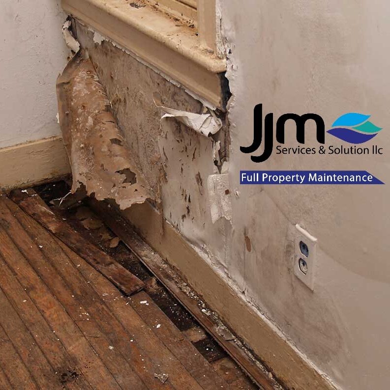 image1-edited ssssss